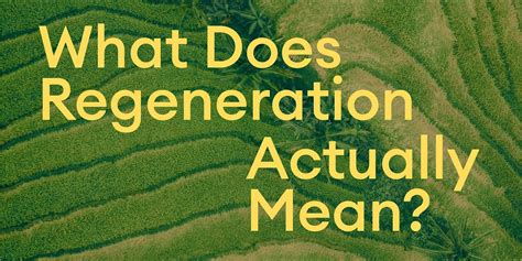 what does regenerate mean.